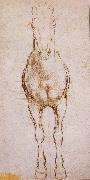 LEONARDO da Vinci Study of the proportion of horses oil painting on canvas